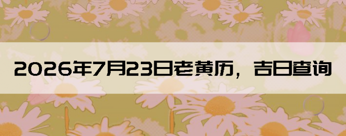 2026��7��23���ϻ��������ղ�ѯ