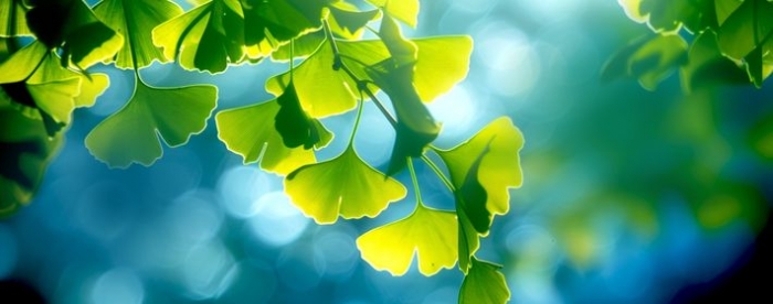 免费在线算命:老是招烂桃花是怎么回事?