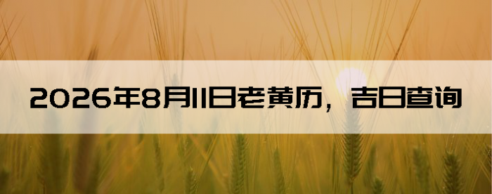 2026��8��11���ϻ��������ղ�ѯ