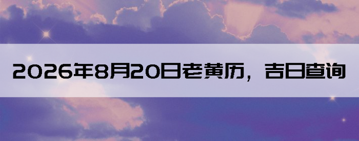 2026��8��20���ϻ��������ղ�ѯ