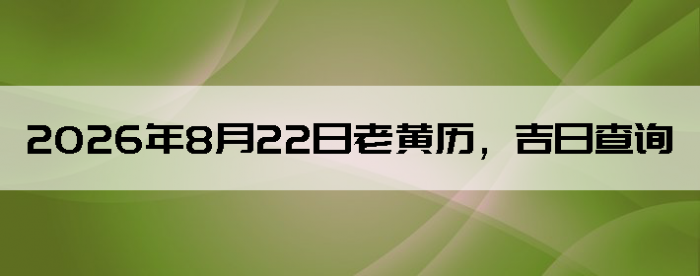 2026��8��22���ϻ��������ղ�ѯ