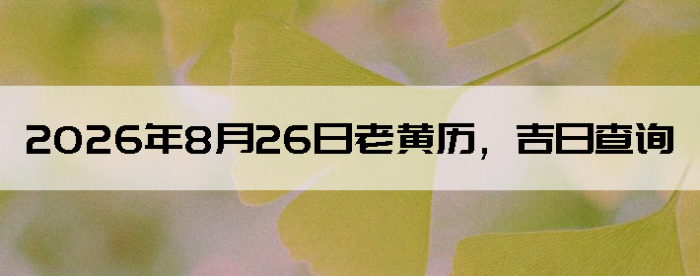2026��8��26���ϻ��������ղ�ѯ