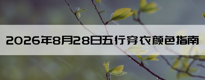 2026��8��28�����д�����ɫָ��
