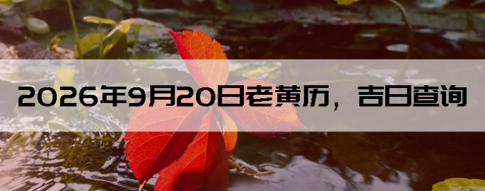 2026��9��20���ϻ��������ղ�ѯ