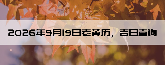 2026��9��19���ϻ��������ղ�ѯ