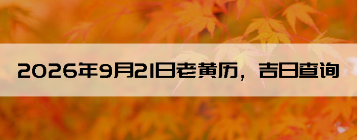 2026��9��21���ϻ��������ղ�ѯ