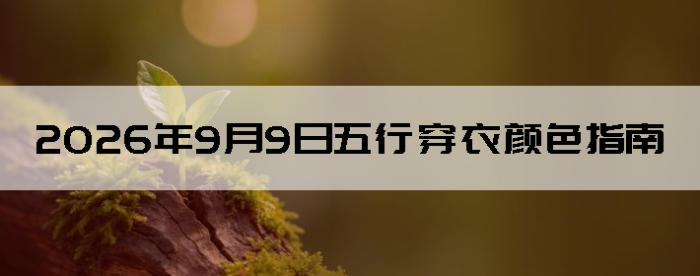 2026��9��9�����д�����ɫָ��