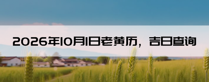 2026��10��1���ϻ��������ղ�ѯ