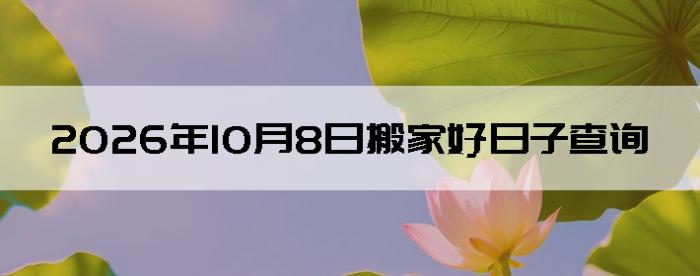 2026��10��8�հ�Һ����Ӳ�ѯ