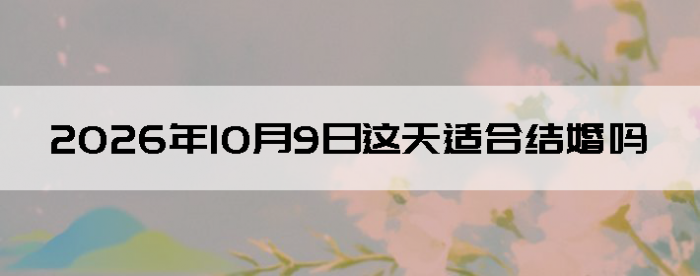 2026��10��9�ս������Ӳ�ѯ