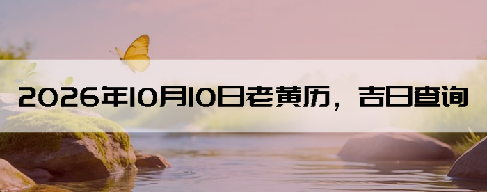 2026��10��10���ϻ��������ղ�ѯ
