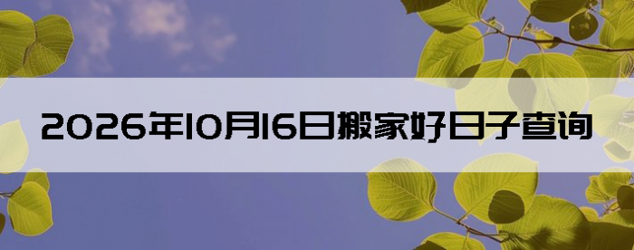 2026��10��16�հ�ҵ���������