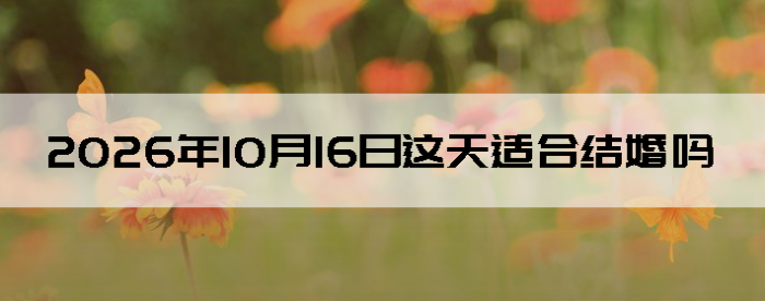 2026��10��16�ս�鼪��������