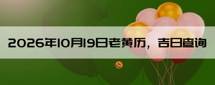 2026��10��19���ϻ��������ղ�ѯ