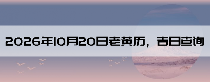 2026��10��20���ϻ��������ղ�ѯ