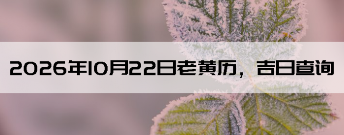 2026��10��22���ϻ��������ղ�ѯ