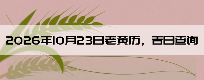 2026��10��23���ϻ��������ղ�ѯ