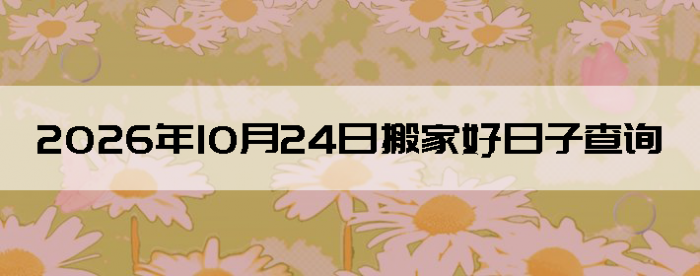 2026��10��24�հ�Һ����Ӳ�ѯ