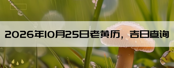 2026��10��25���ϻ��������ղ�ѯ