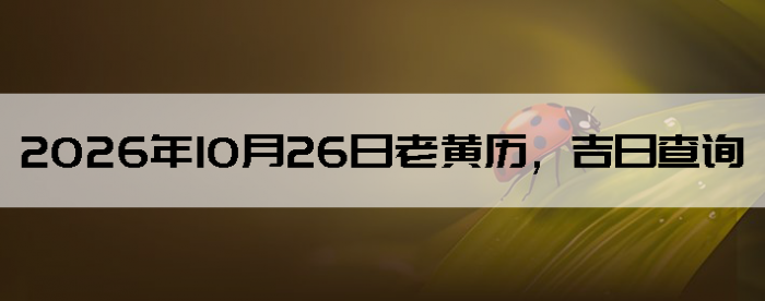 2026��10��26���ϻ��������ղ�ѯ