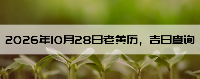 2026��10��28���ϻ��������ղ�ѯ