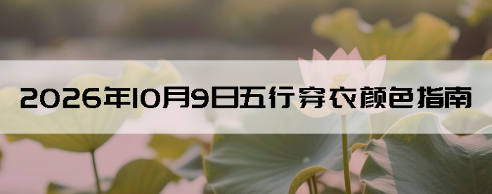 2026��10��9�����д�����ɫָ��