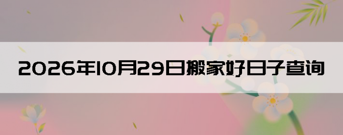 2026��10��29�հ�Һ����Ӳ�ѯ