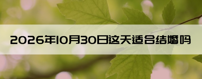 2026��10��30�������ʺϽ����