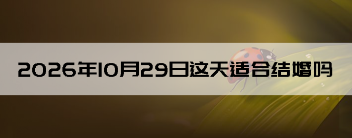 2026��10��29����������ô��