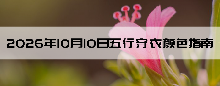 2026��10��10�����д�����ɫָ��