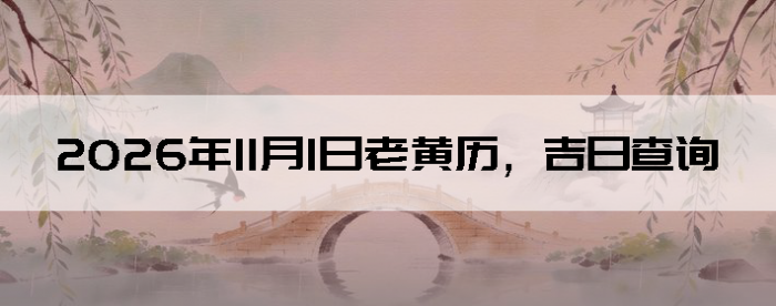 2026��11��1���ϻ��������ղ�ѯ