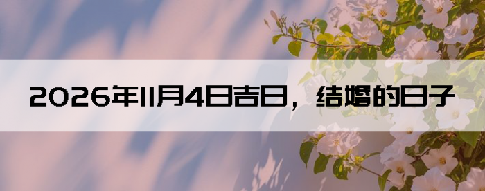 2026��11��4����������ô��