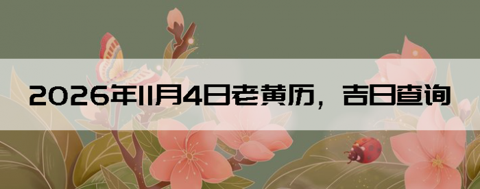 2026��11��4���ϻ��������ղ�ѯ