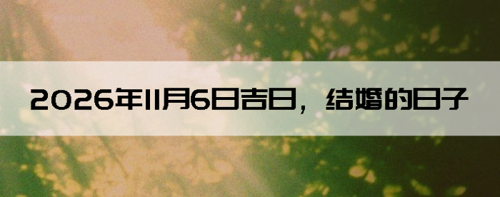 2026��11��6�ս������Ӳ�ѯ
