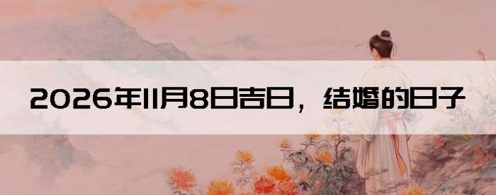 2026��11��8�ս�鼪��������