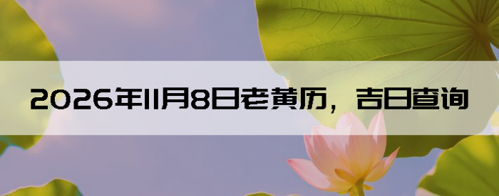 2026��11��8���ϻ��������ղ�ѯ