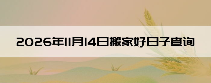 2026��11��14�հ�ҵ���������
