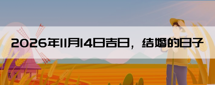2026��11��14�ս�鼪��������