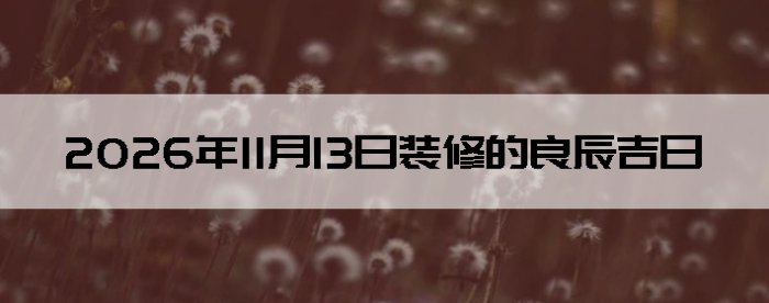 2026��11��13�������ʺ�װ����