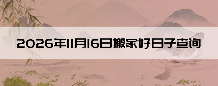 2026��11��16�հ�ҵ���������