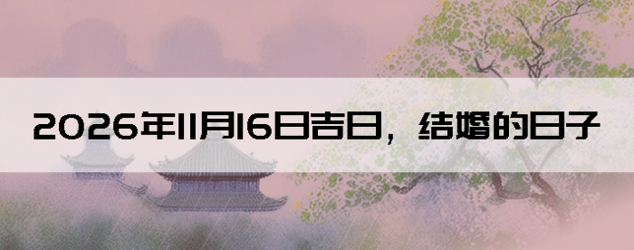 2026��11��16�ս�鼪��������