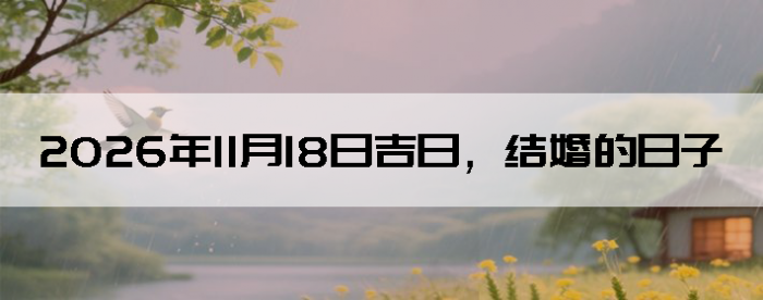2026��11��18�ս�����������