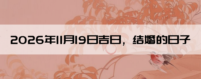 2026��11��19�������ʺϽ����