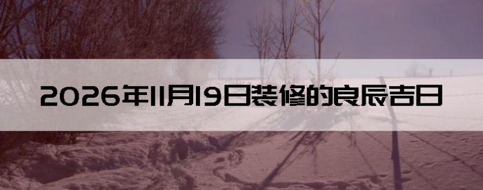 2026��11��19�������ʺ�װ����