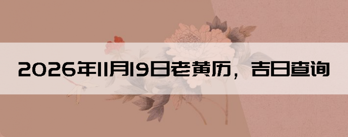 2026��11��19���ϻ��������ղ�ѯ