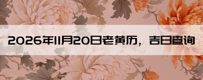 2026��11��20���ϻ��������ղ�ѯ