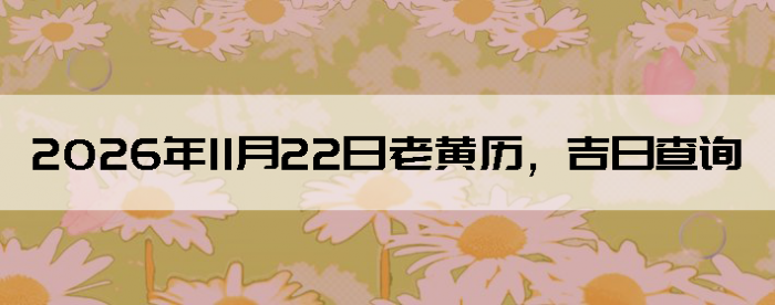 2026��11��22���ϻ��������ղ�ѯ