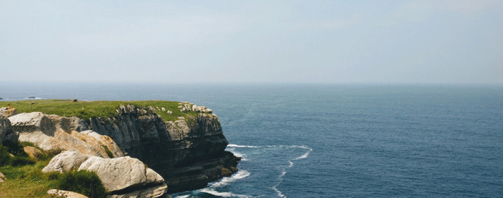 图解:手掌大,小鱼际颜色与健康