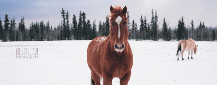 Աˮ