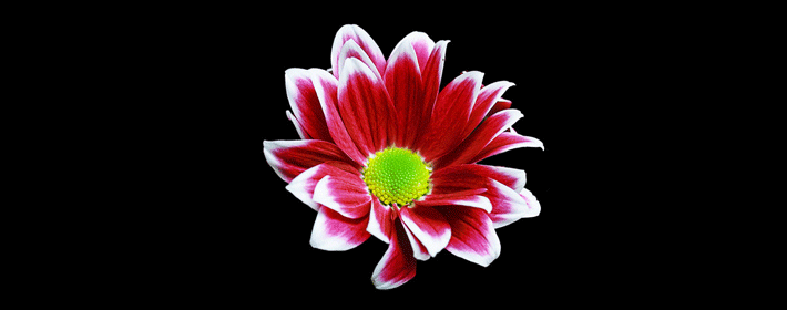 Ů˵пԵԼδ״